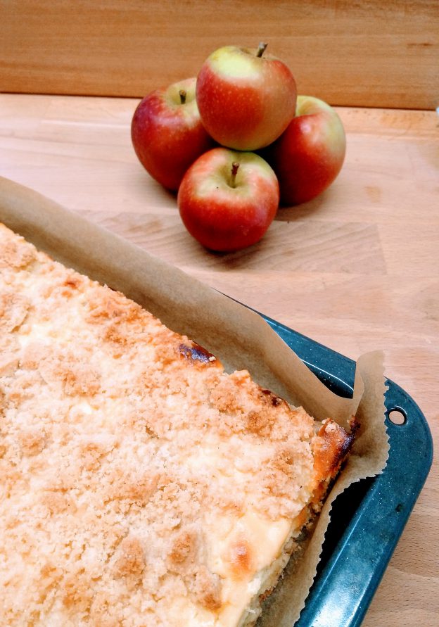 Apfel Quark Streuselkuchen Vom Blech Meins Mit Liebe Selbstgemacht